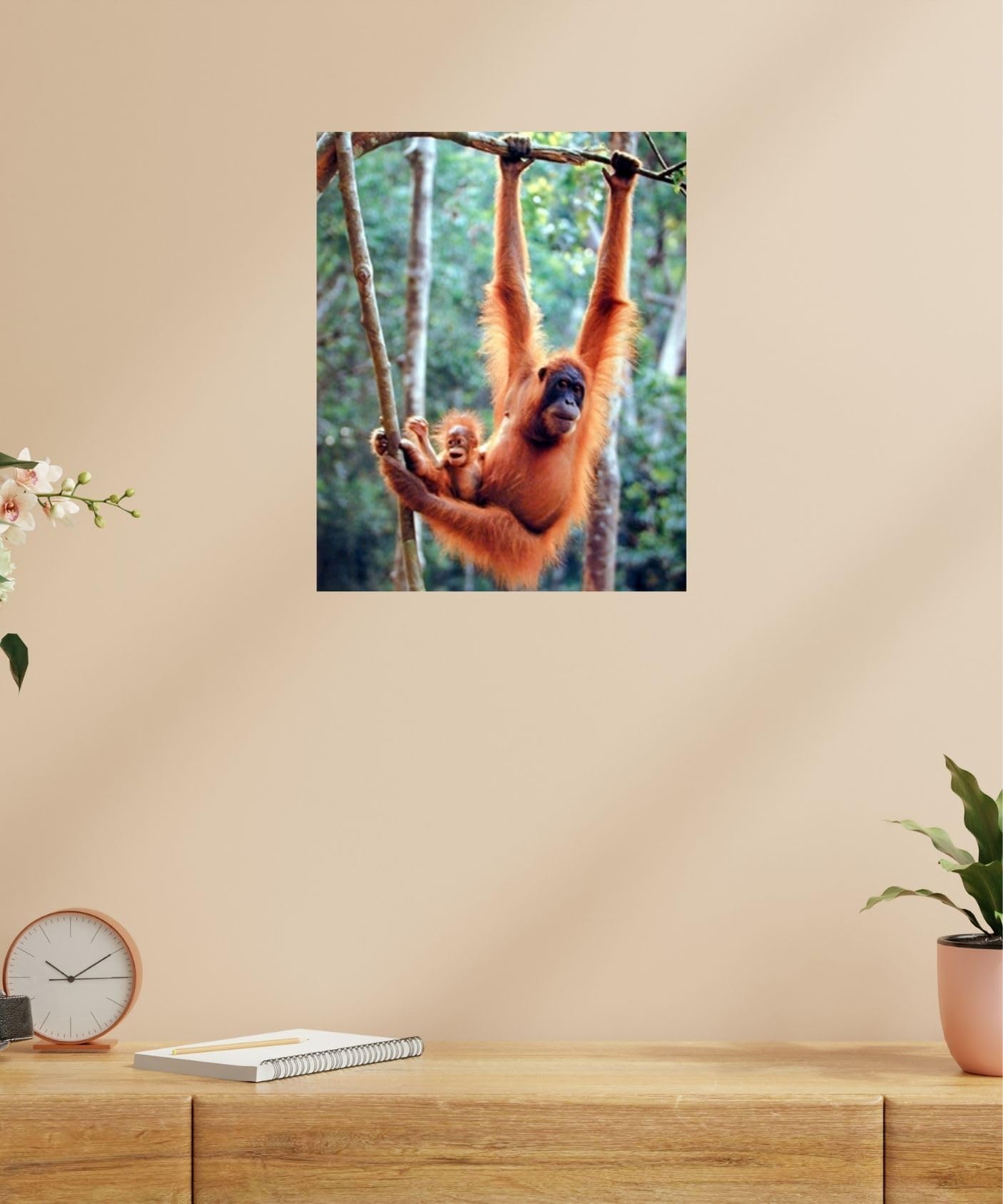 Amazon.com: Impact Posters Gallery Orangutan and Baby Waving