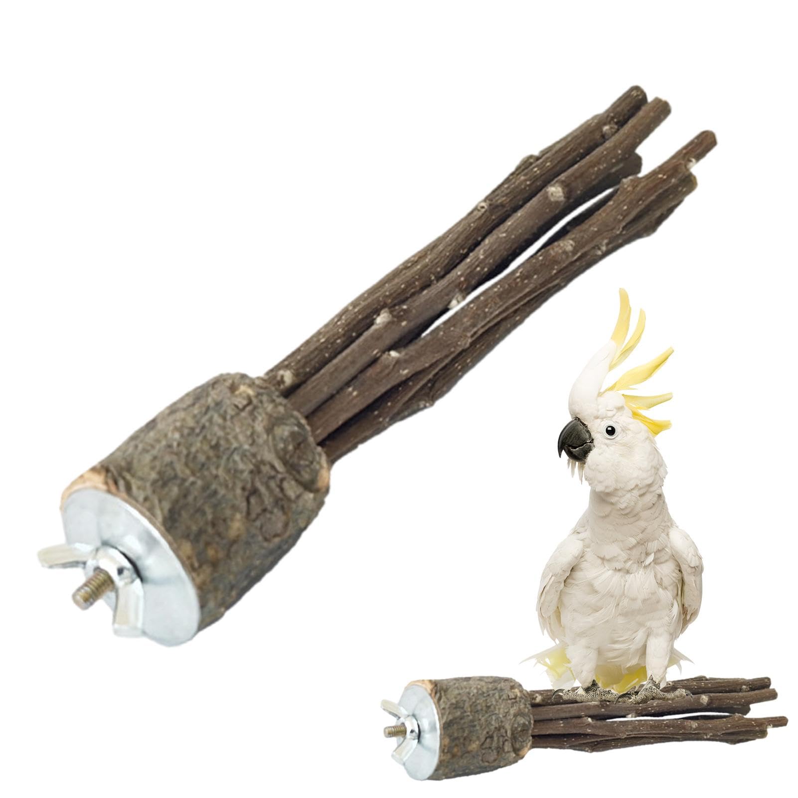 Amazon | オウムの木の止まり木、天然木のオウムの止まり木