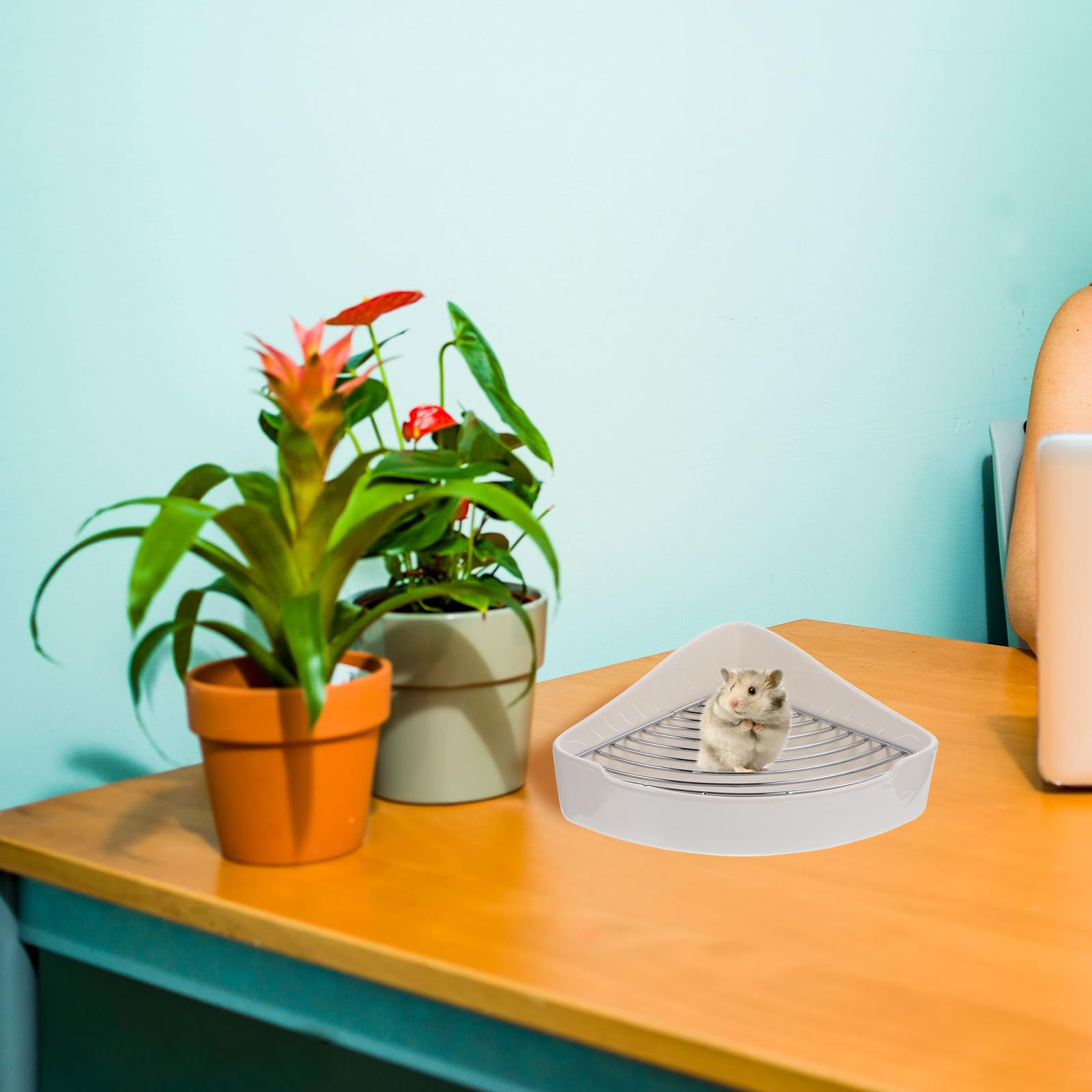 Dreieckige Kaninchentoilette aus Keramik, Weiß, für Zuhause und Büro