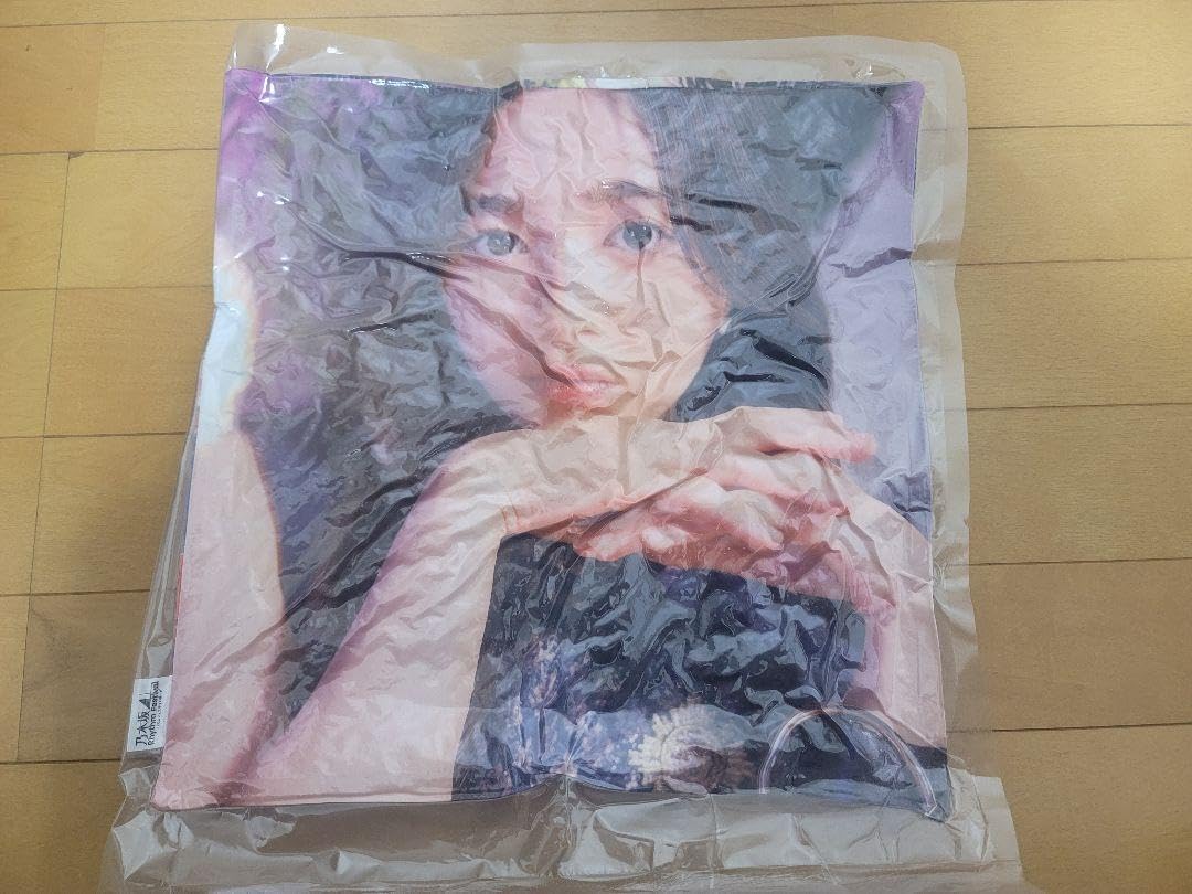 乃木フェスサインなし井上和クッション 乃木フェス 井上和 直筆 キャンパス