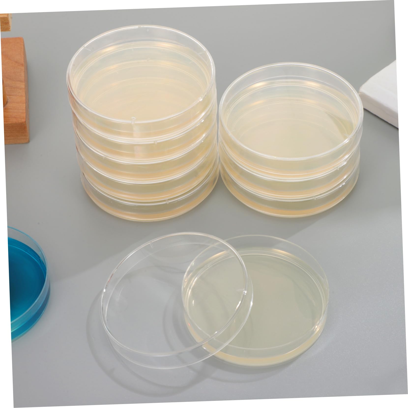 20 pezzi Piastre Petri con Agar Preversato per Esperimenti Scientifici Piastre Nutrienti Portatili e Facili da Usare per Crescita Microbiologica e Attività Didattiche in