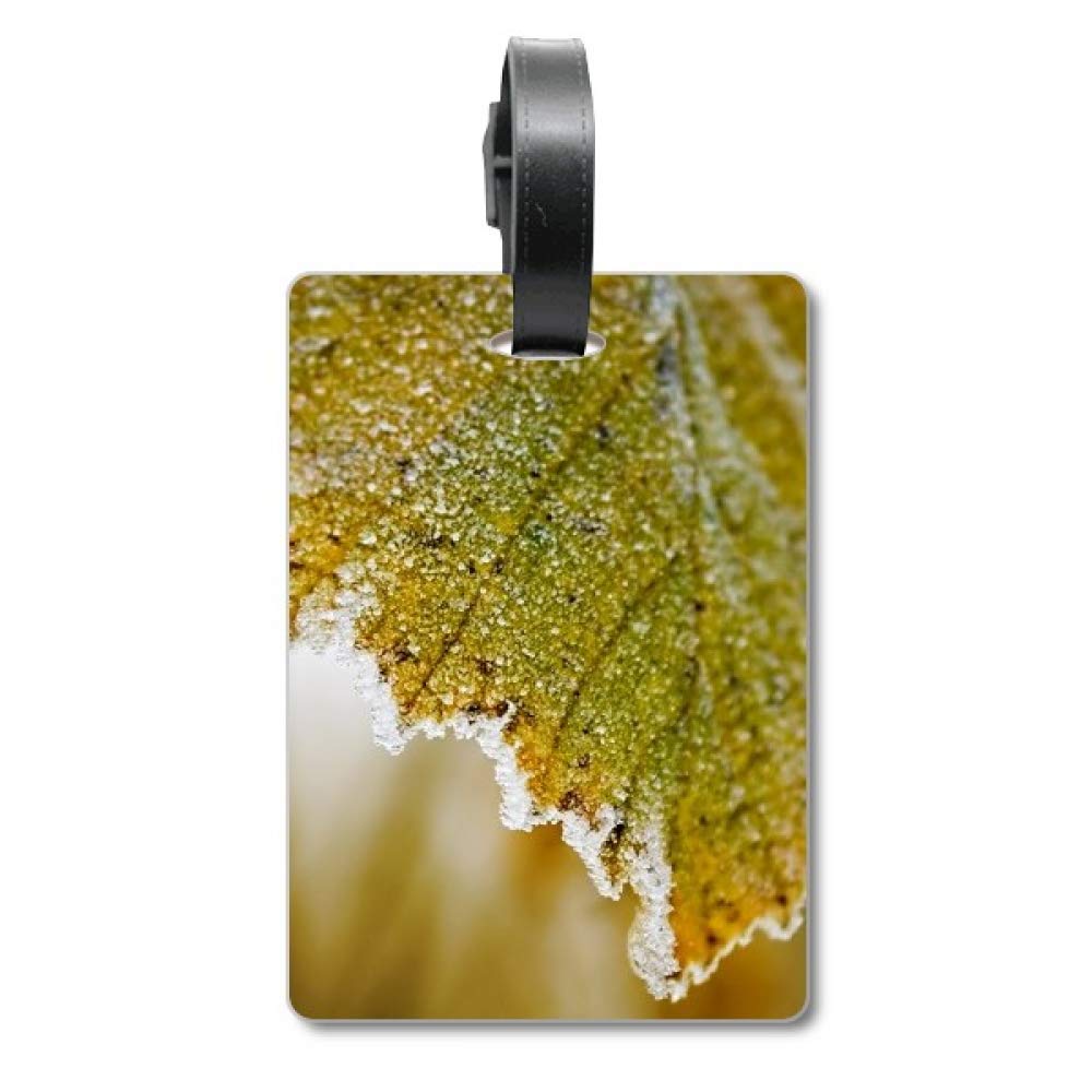 Étiquette de valise motif feuille résistante et design végétal