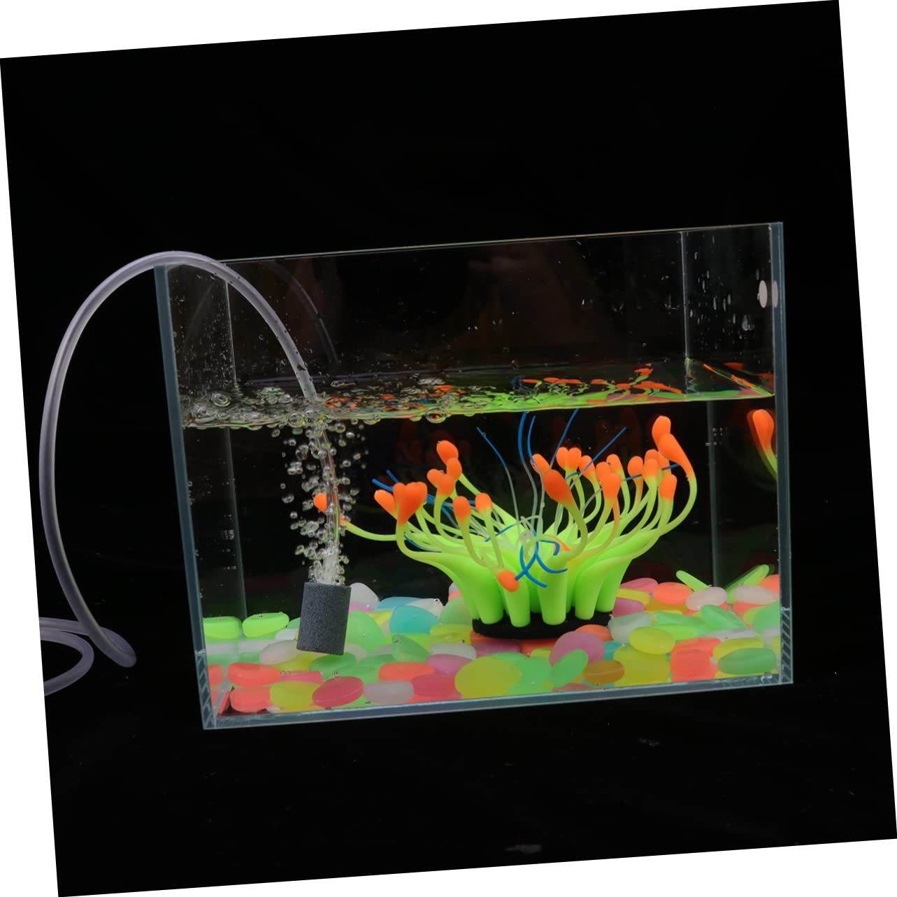 Toddmomy Accesorios para Acuarios 3 Piezas de Aire del Acuario para de Aire para Acuario Accesorios de Pesca Accesorios para peceras de Estanque de pecera Exterior Pescar USB