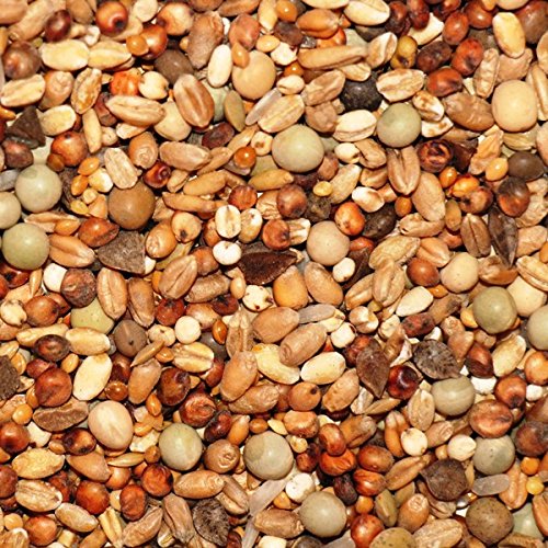 25kg Kampol K Taubenfutter für kleine Rassen und Kurzschnäbler Cover