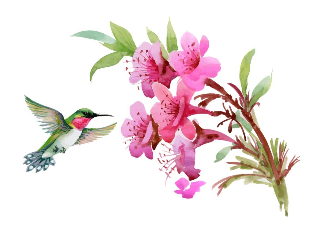 Divine Designs™ PVC Vinyl Self-Adhesive Floral Bird Wall Sticker for Living Room, Bedroom, Office Wall Decoration (25 X 18 INCH) Pack 1 (B083Y1FFXZ) Amazon Price History, Amazon Price Tracker
