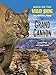 Produktbild The Grand Canyon (Walk on the Wild Side: The National Parks)