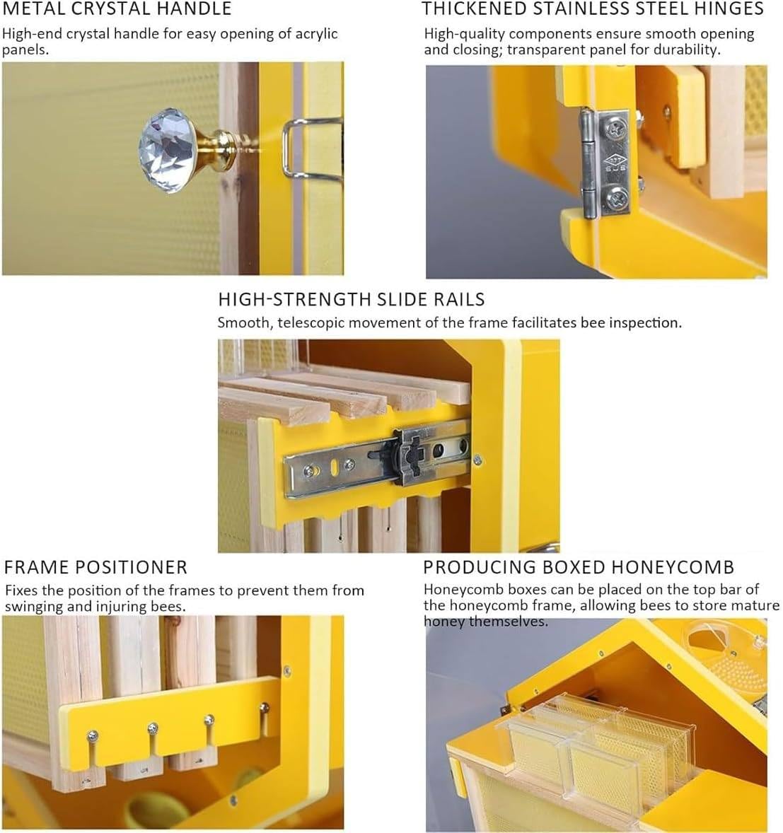 Starter kit per interni con 3 cornici e 6 vassoi a nido d'ape, finestra di visualizzazione in acrilico, struttura esagonale per gli appassionati di apicoltura, sistema di apicoltura domestica