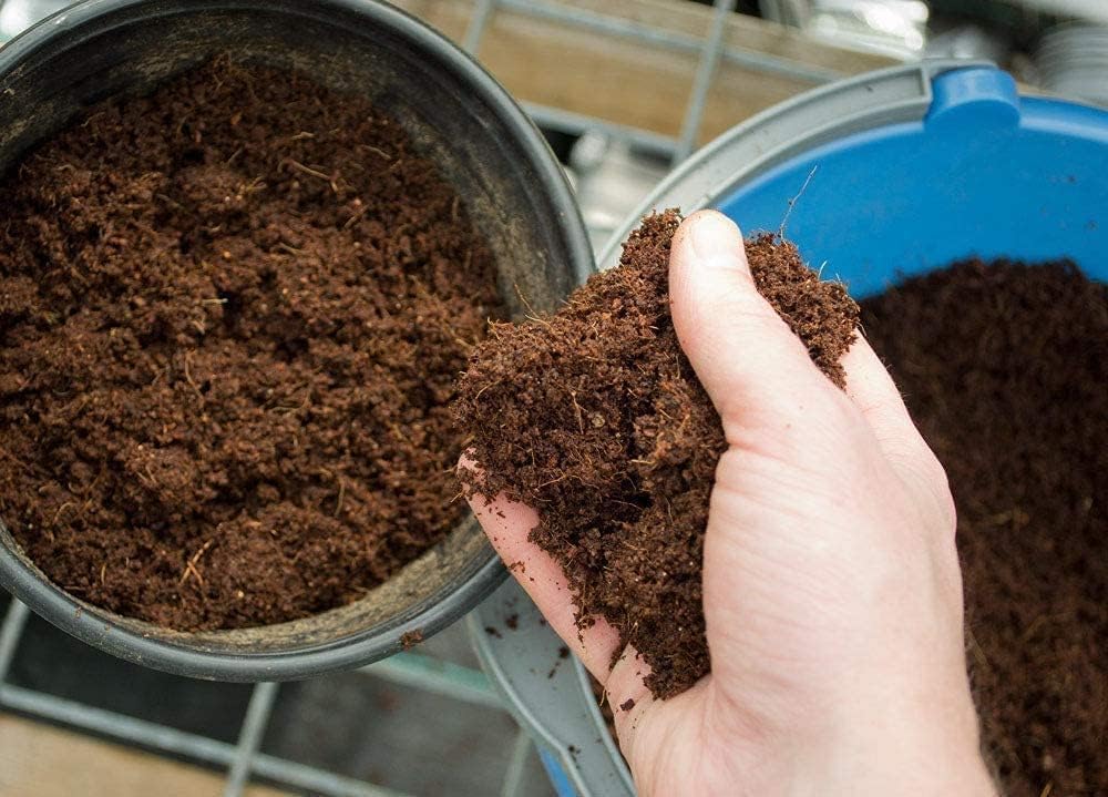 VLC Orticoltura Fibra Di Cocco 5kg (Espande 70L): Substrato Universale Per Piante, Terrari, Cactus E Bonsai, Biologico E Ricco Di Nutrienti