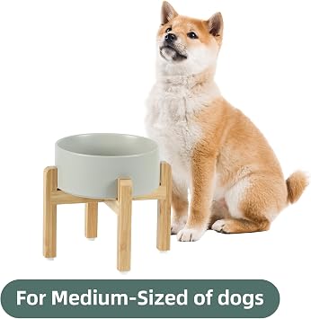 Havniva Dog Bowls Elevated, Ceramic Dog Food and Water Bowl | 7.3 Raised Dog Food Bowl, Elevated Dog Bowls with Bamboo Stand, Non-Slip Dog Water Bowl for Medium Dog, Large Capacity