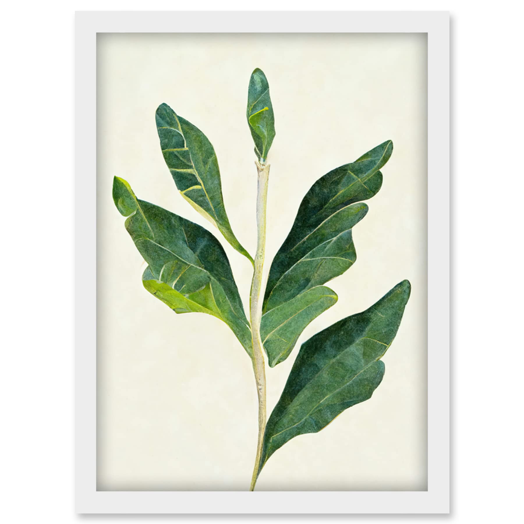 Doppelganger33 LTD Detail Of Rubber Fig Plant Botanical Illustration Artwork Framed Wall Art Print A4