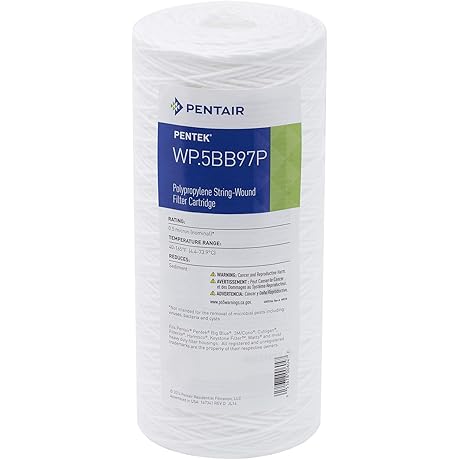 Pentair Pentek Big Blue Whole House Water Filter