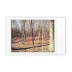 Review Image by H. Drallmeyer