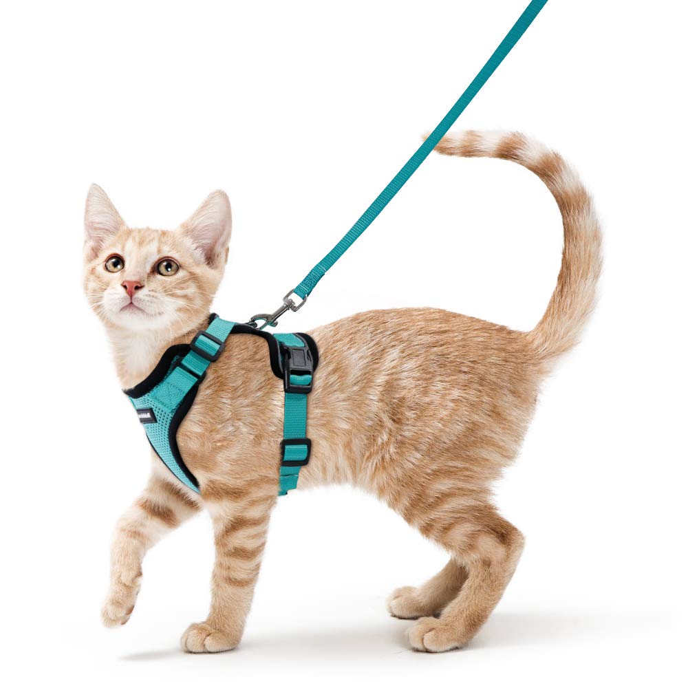 rabbitgoo Cat Harness and Lead Set, Escape Proof Kitten Harness with Leash, Metal Ring, Lightweight Soft, Reflective Adjustable Vest for Small Cat Walking Travel XS, Green