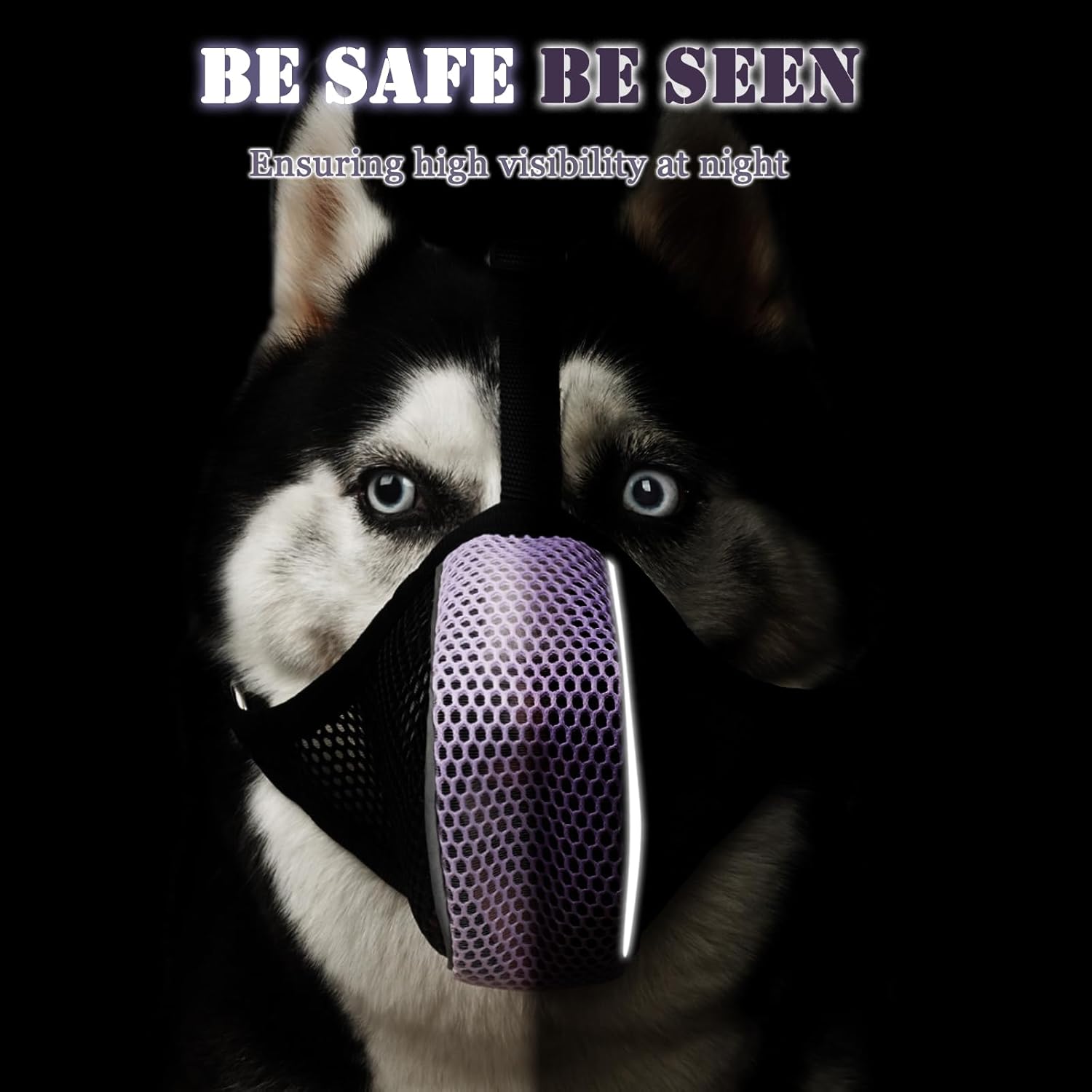 Mesh Dog Muzzle with Matching Collar(Black/Grey, M) and Mesh Dog Muzzle with Matching Collar(Black/Purple, M) Set for Medium Large Dogs to Prevent Scavenging