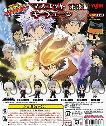 家庭教師ヒットマンREBORN リボーン マスコットキーチェーン 未来編全7種台紙 雲雀恭弥 10年後/六道 骸 10年後/白蘭/他フィギュア 家庭教師ヒットマンREBORN リボーン マスコットキーチェーン 未来編全7種台紙 雲雀恭弥 10年後/六道 骸 10年後/白蘭/他フィギュア