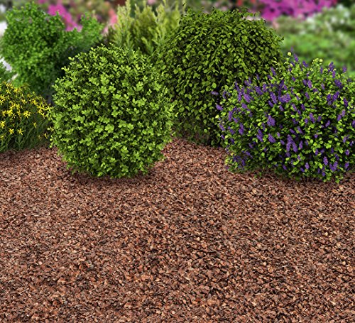 Floragard Kakaoschalen Mulch 3x50 L - zum Mulchen von Pflanzflächen, Gehölz- und Staudenbeeten - natürliche Inhaltsstoffe - unterdrückt Unkrautwuchs