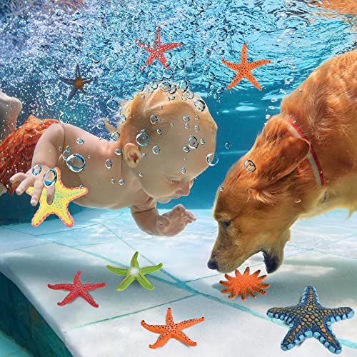 Zaugontw 14 Pieces Diving Starfish Pool Toy, Colorful Starfish Set Summer Swimming Diving Toys Set, Starfish Sea Animals Set, Dive Throw Toy Set Underwater Swimming Toy #TOP4