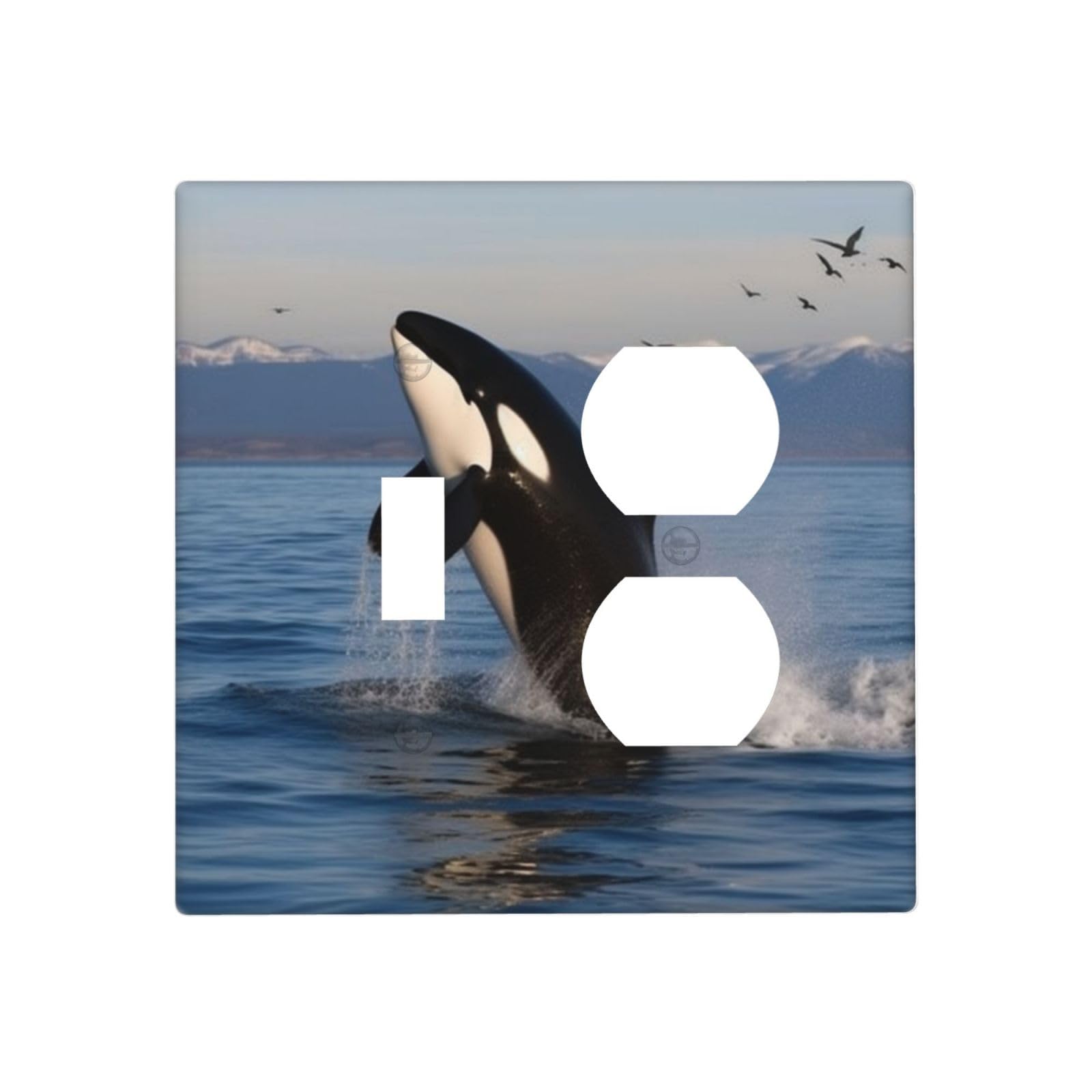 Decorator Wall Plate 2 Gang Light Switch Covers Killer Whale Wallplate Double Toggle Switch Plate Standard Size Electrical Outlet Covers Decorative Wall Switch Plate Cover