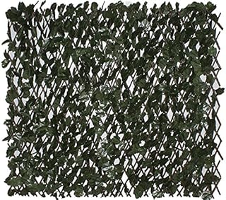 Suchergebnis auf Amazon.de für: efeu sichtschutz