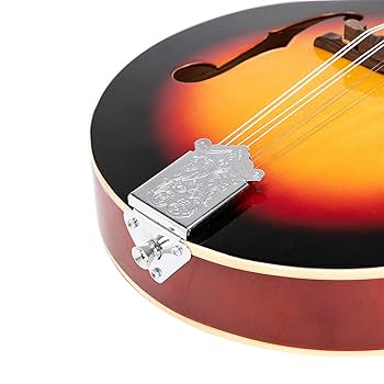 Amazon | マンドリン楽器 スタイル 8 弦マンドリン フラット