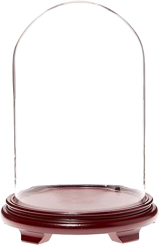 Miniatura 2 de Plymor Cúpula de cristal de 9.75 x 15 pulgadas (base con patas de chapa de madera de nogal)