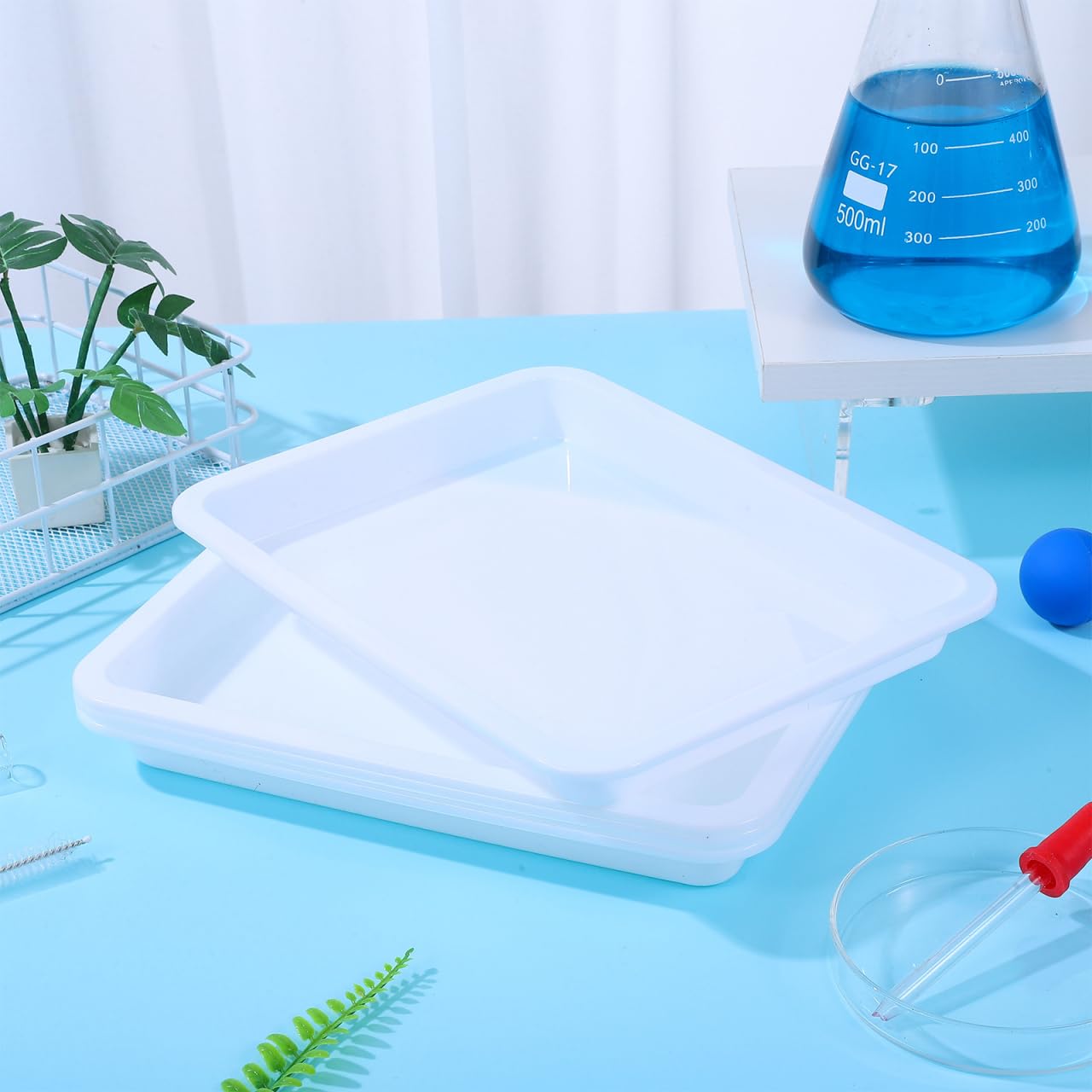 Bandejas Laboratorio Trayectoria Resistente Ácidos y Álcalis 4 Piezas Experimentos Químicos