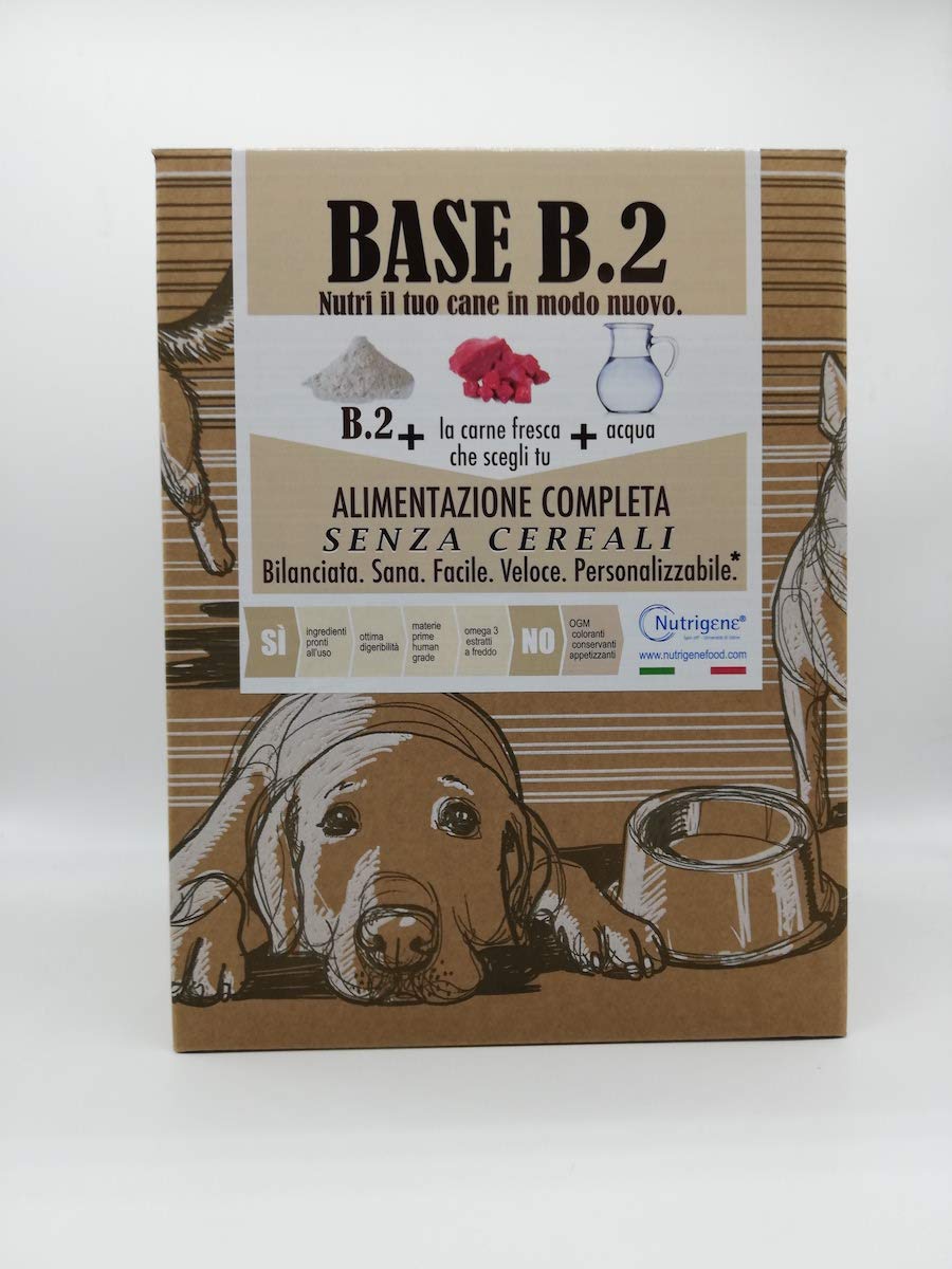 Base B Due Cartone 3 Kg - 4