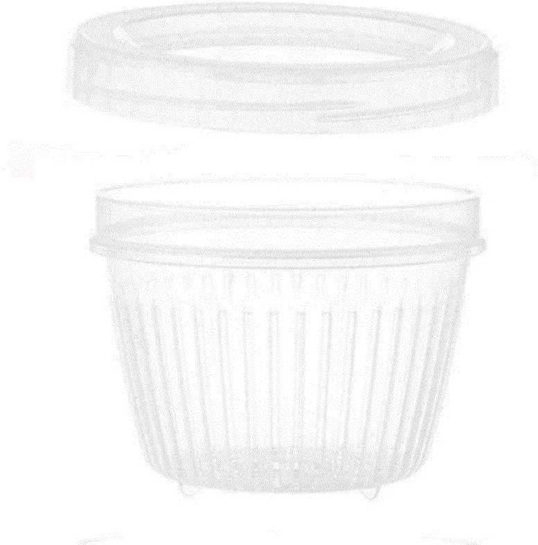CJSWT Kitchen Food Storage Container, Sealed Storage Box for Refrigerator Drain Polypropylene Material, Used for Garlic Green Onion Ginger Green 500 Ml
