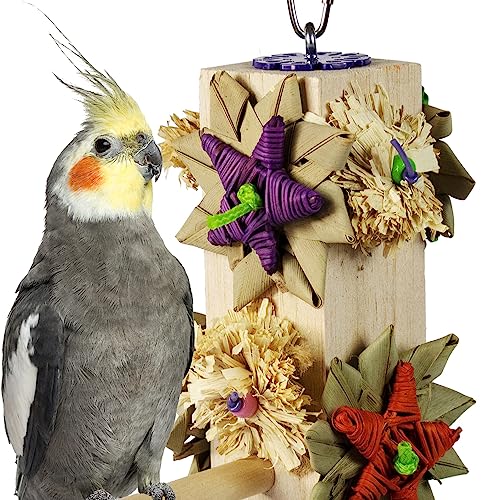 Image of Super Bird Creations SB1170 Balsa Perch & Play Bird Toy for Parrotlets, Parakeets, Cockatiel - Promotes Physical Activity, Curiosity, and Mental Engagement - Small /Medium Bird Size - 8 inch x 6 inch