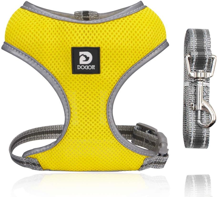 Dog Harness Small Dog Breathable Lightweight Puppy Harness and Lead Set