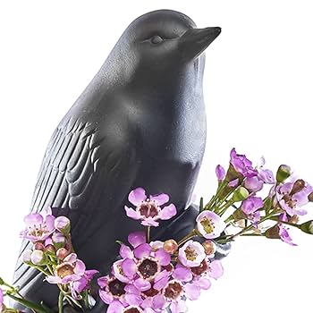 Amazon.com : Chive - Unique Ceramic Bird Vase, Small Bud