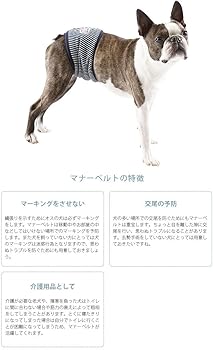 Amazon.co.jp: MANDARINE BROTHERS マンダリンブラザーズ MANNER BELT