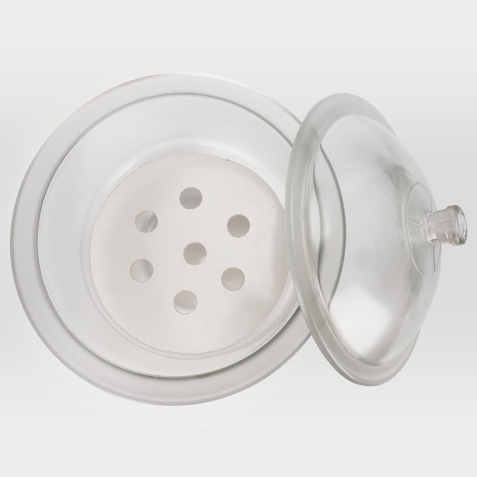 Labasics Essiccatore in Vetro con Coperchio a Pomello e Piastra in Porcellana, Contenitore Tondo per Stoccaggio a Secco Non Sottovuoto per Campioni di Laboratorio e Materiali Attivi, 300 mm I.D.