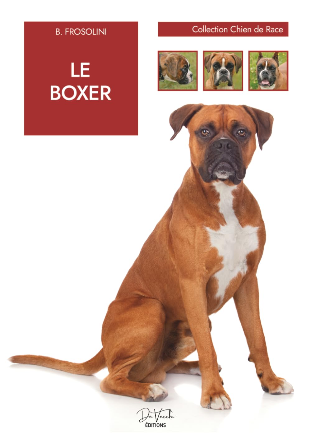Le Boxer: caractère, éducation, dressage et soins au quotidien