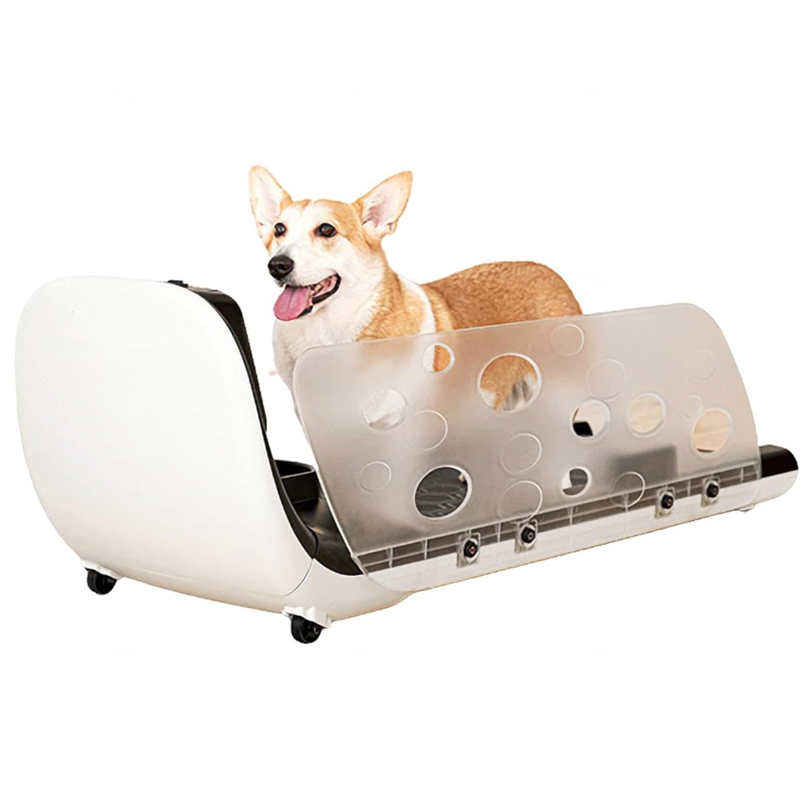 Amazon.co.jp: 犬用トレッドミル、安全柵付きペットランニング