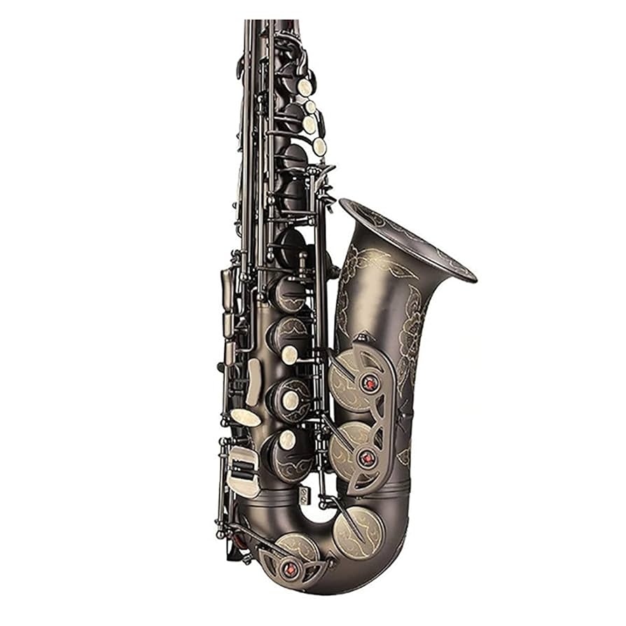 【極美品】Valenteアルトサックス0509 完動品 C.G.CONN 1925's C.G.CONN New Wonder II 「Virtuoso Deluxe」 S