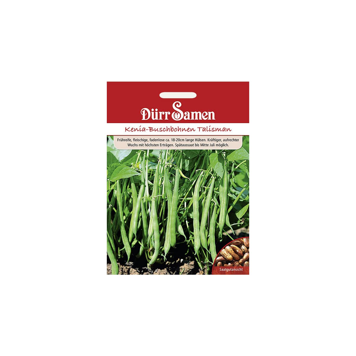 Buschbohnen Samen Kenia Bohnensamen Grne Bohnen ca 150 Korn Saatgut Gemse  Garten Hochbeet Kbel Drr Samen : Amazon.de: Garten