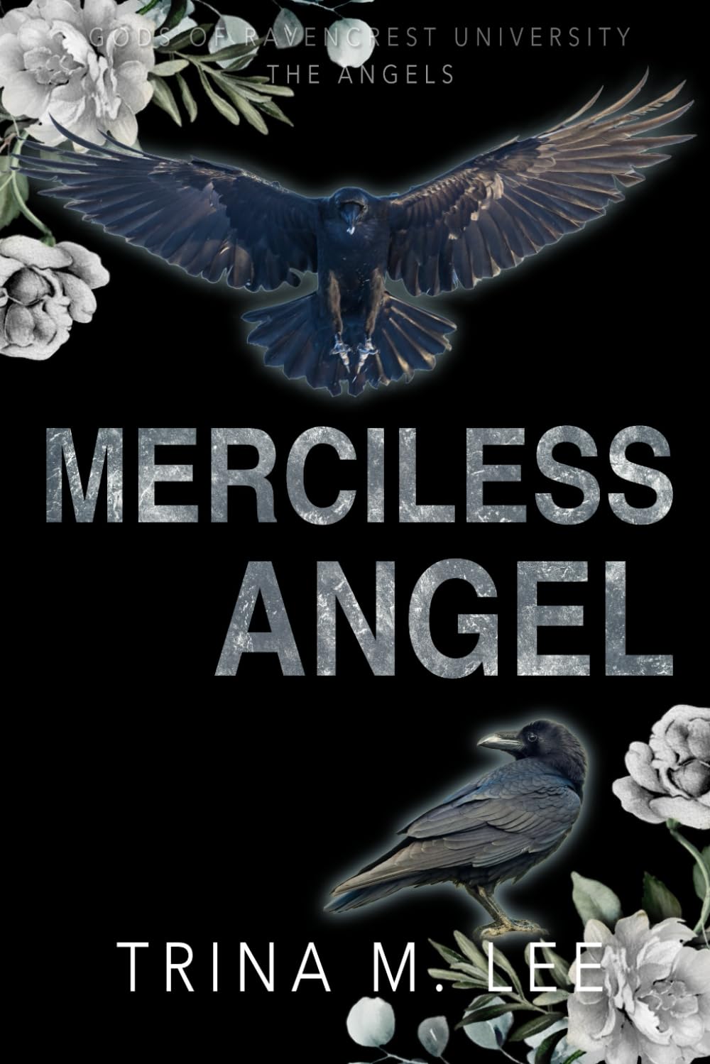 Merciless Angel (Gods of RU: The Angels): 4 (Gods of Ravencrest University)