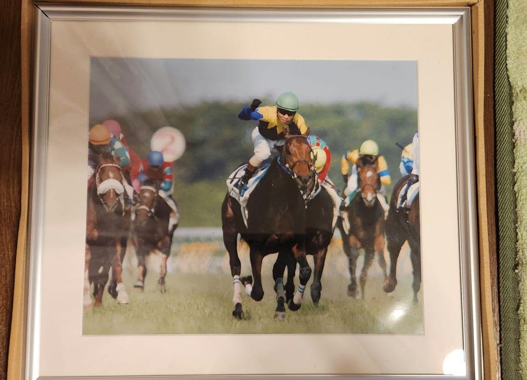 Amazon.co.jp: JRA キングカメハメハ ダービーパネル パネル : おもちゃ 