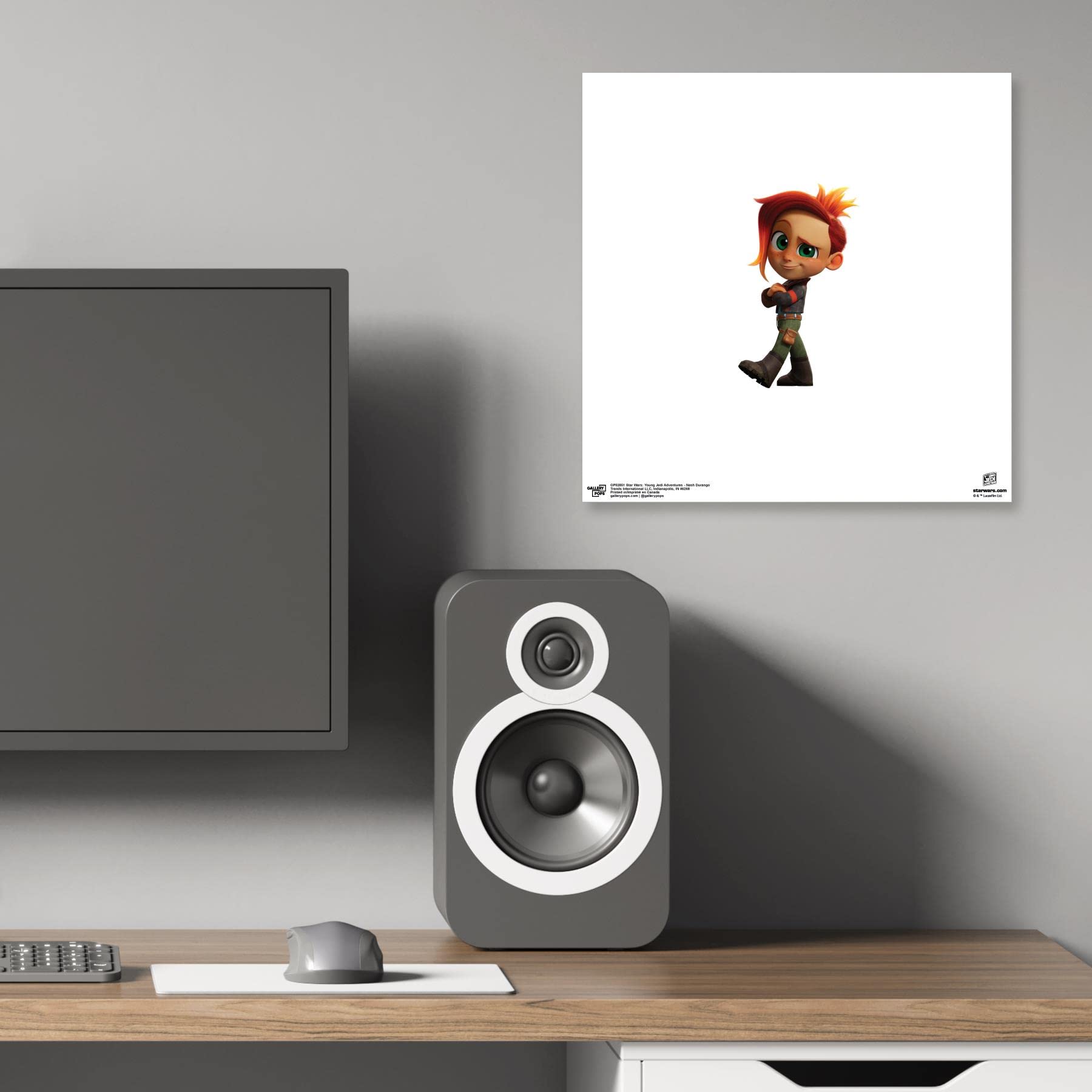 Amazon.com: Trends International Gallery Pops Star Wars: Young
