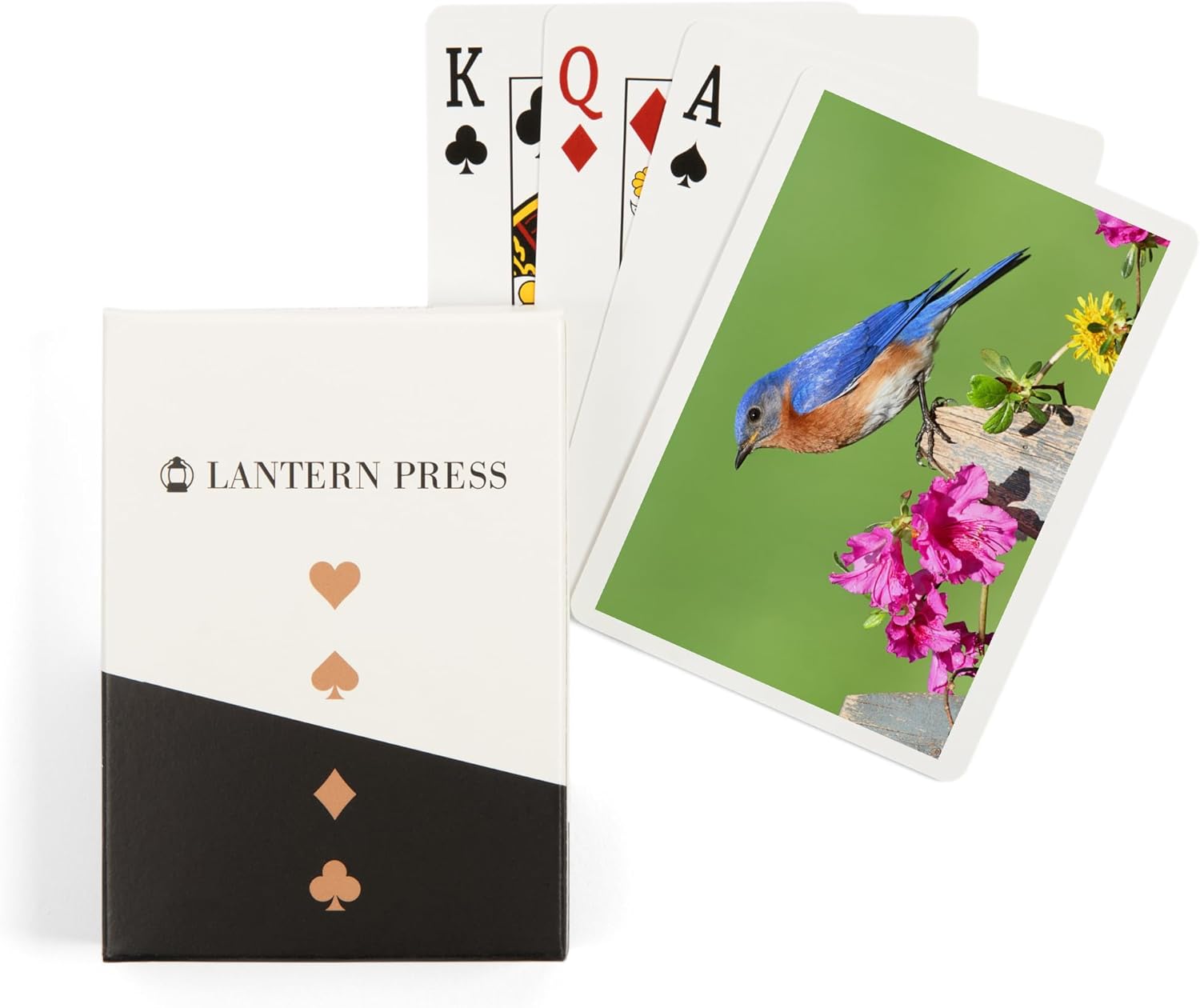 Lantern Press Eastern Bluebird, 52 Playing Cards for Adults, Poker Size Card Deck