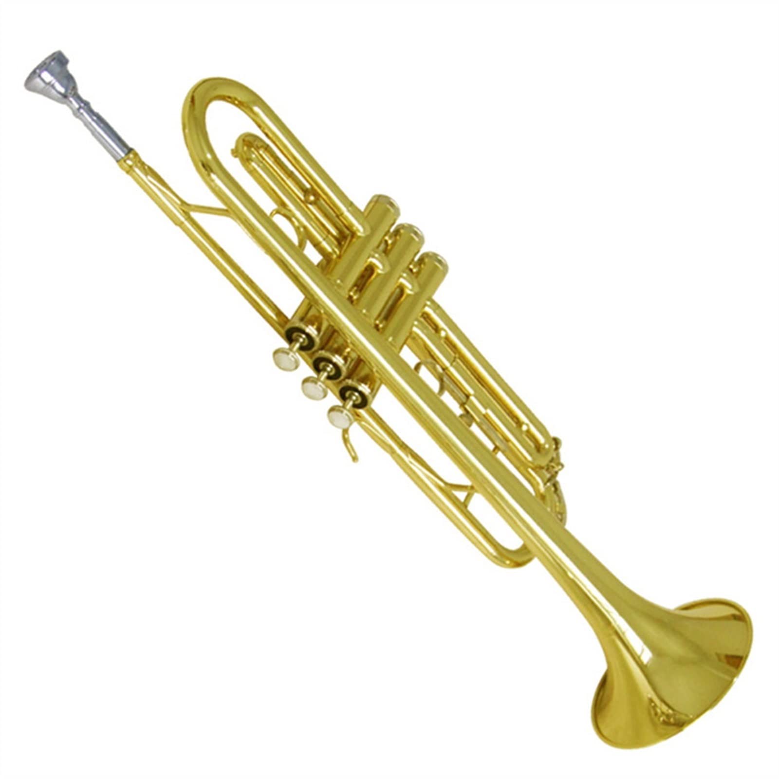 TSTS Gold/Silver Tromba Standard per Principianti Tromba in Si Bemolle Corpo in Ottone con Bocchino 7C Tromba Studente (Color : 01)