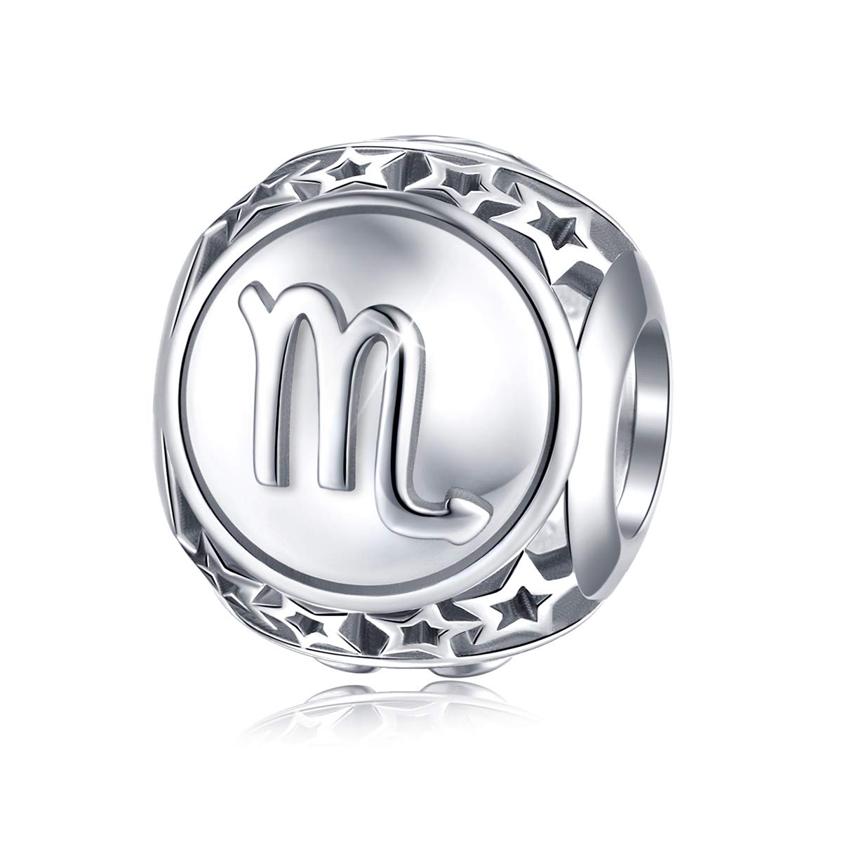 FOREVER QUEENFOREVER QUEEN Zodiac Sign Charm fit Charms Bracelet, 925 Sterling Silver Plated Platinum Star Bead Charm 12 Horoscope Constellation Charm for Bracelet and Necklace, Birthday Gift