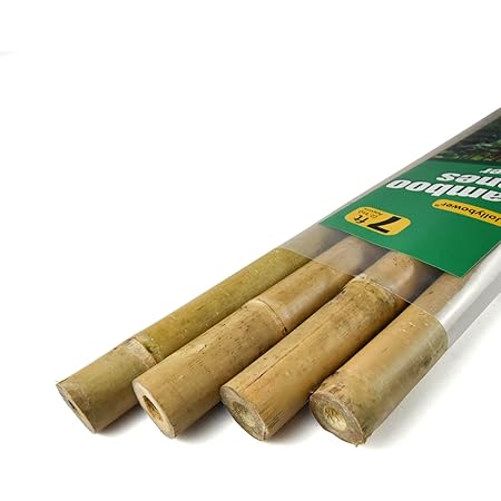Jollybower 1IN D Thicker Heavy Duty Bamboo Stakes,7FT Plant Stakes,Natural Garden Stakes for Tomato,Bean,Flowers,Trees Potted and Climbing Plant Support-Pack of 4 Bamboo Stick