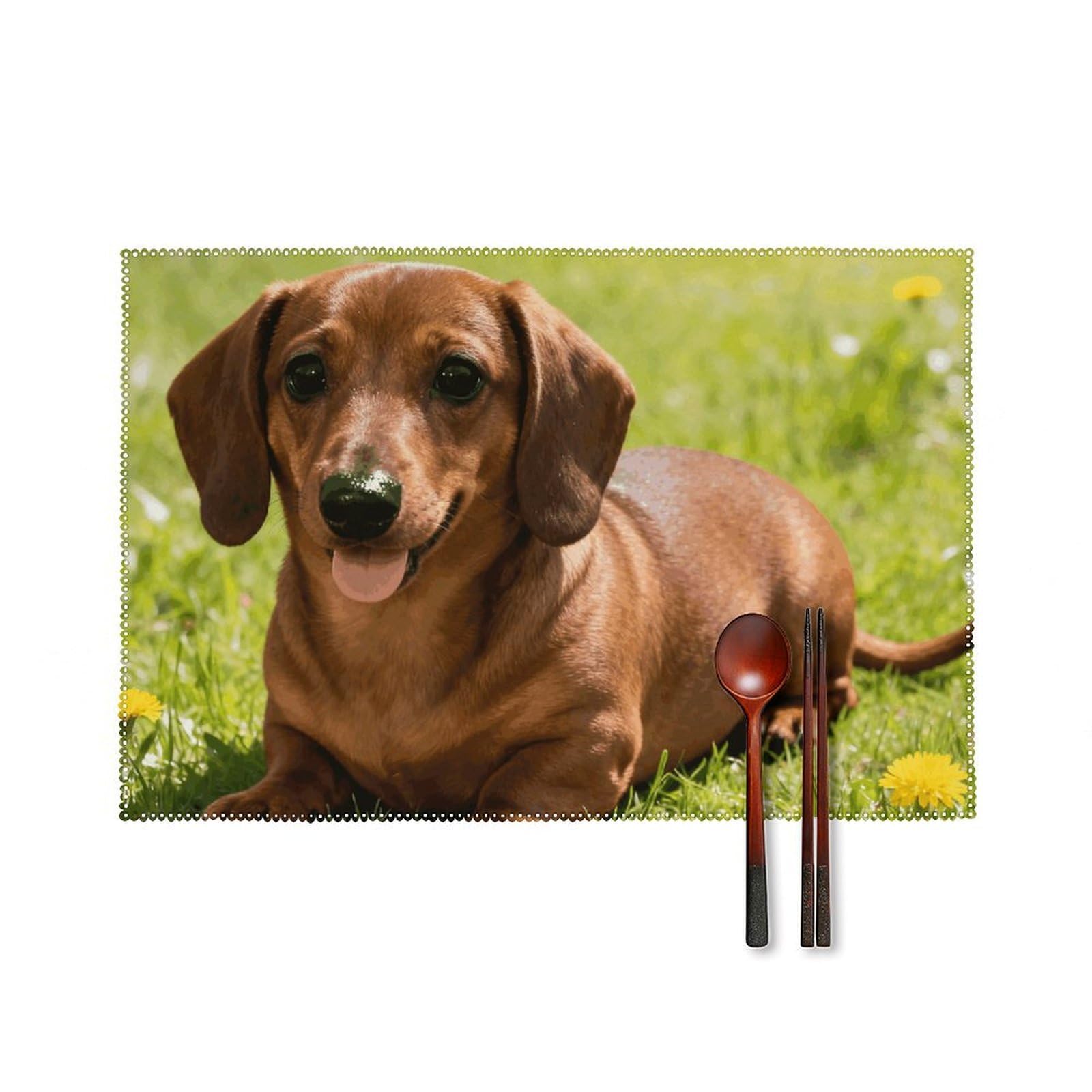 Cute Dachshund Placemats Set of 6, 12x18 Inch Heat Resistant Washable Canvas Table Mats, Stain Resistant Decorative Dining Placemats for Kitchen, Restaurant, Outdoor Party