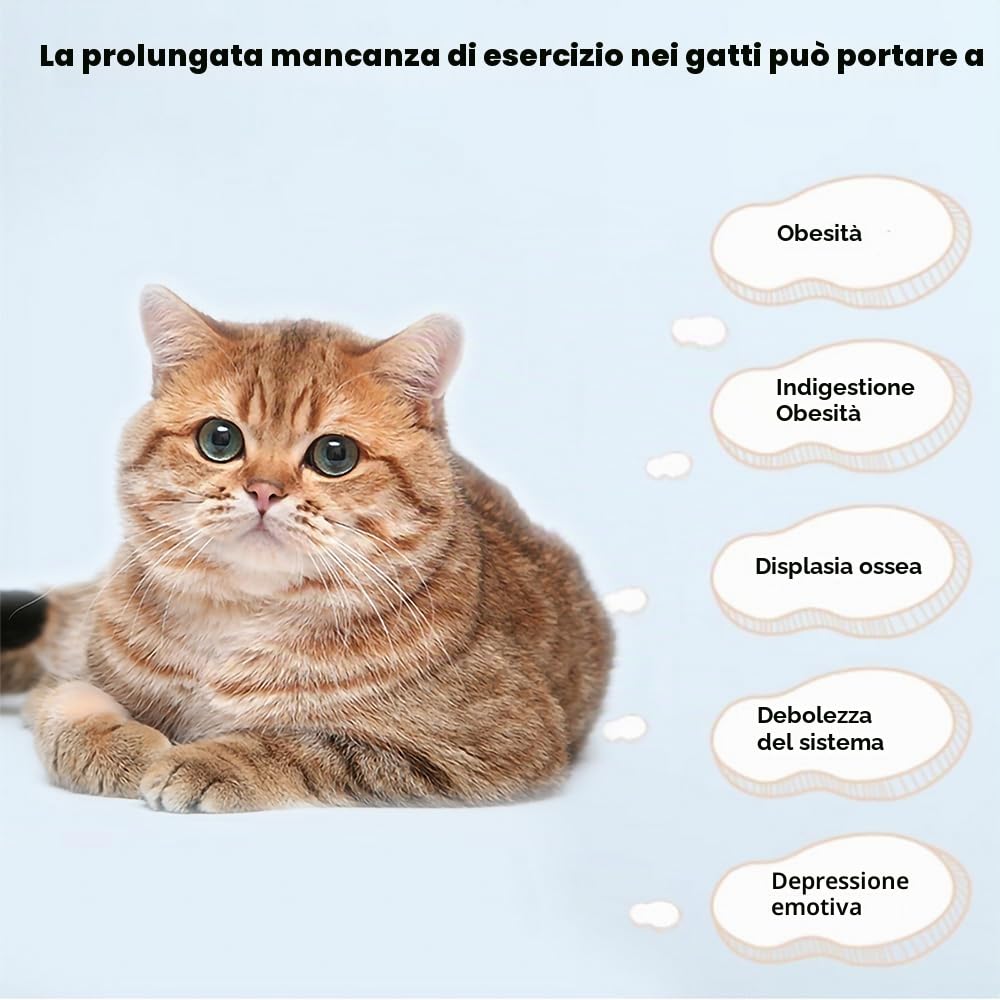 Cat Running Exercise Wheel Tapis roulant, giocattolo di addestramento per gatti ultra silenzioso con meccanismo di bloccaggio, pista con moquette rimovibile per correre e graffiare (Grigio)