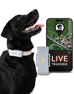 PAJ GPS - Tracker for Dogs - 4G - Runaway Alarms + UK & Worldwide Live Tracking - Up to 10 Days Battery Saving Mode - Dog Recall - with Illuminated LEDs - Waterproof (IP67) - Fits Any Collar - Grey