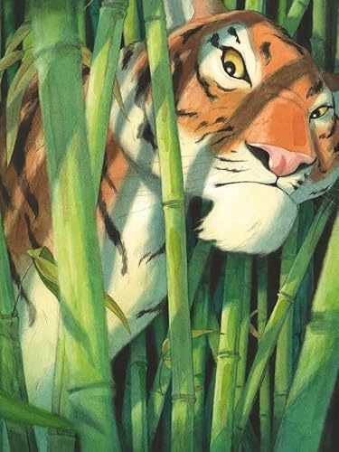 Il Libro Della Giungla - 2