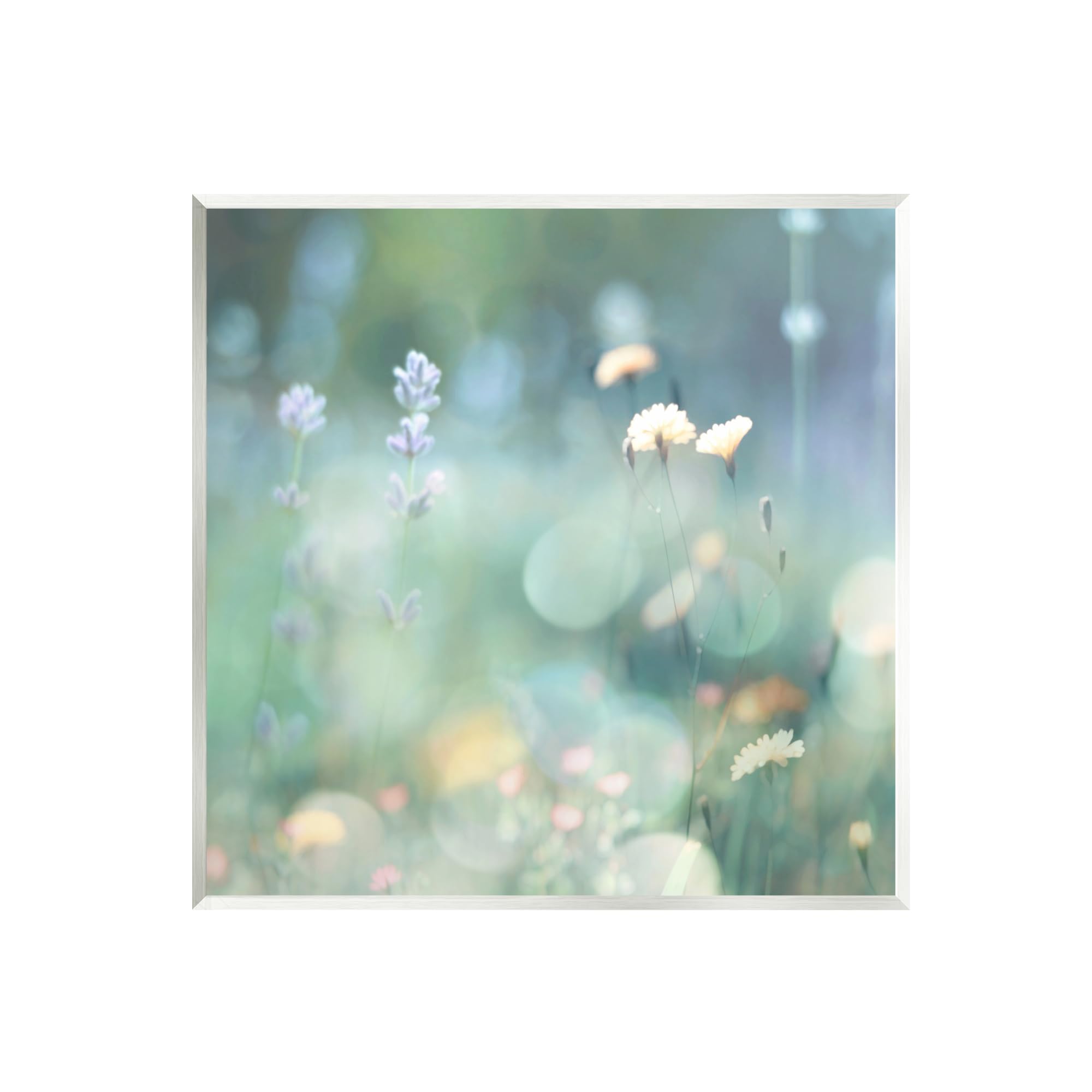 Stupell IndustriesCottage Meadow Photography Wall Plaque Art by Kate Carrigan