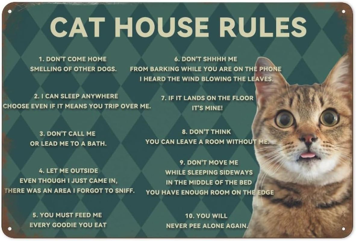 Nuboxx O19 Funny Cat Rules Metal Tin Sign - Rustic Farmhouse Wall Decor, 12X8 Inch Gift For Cat Lovers